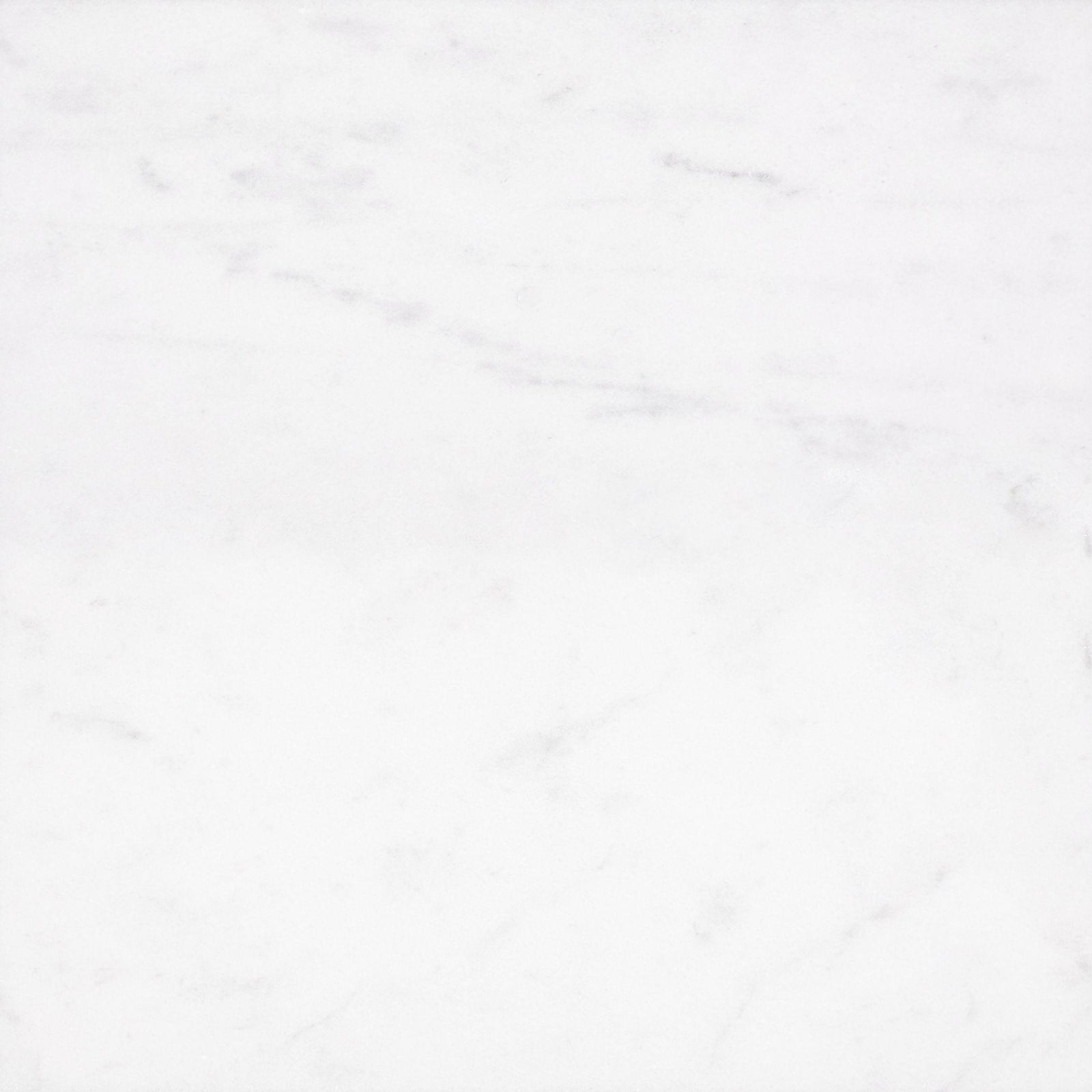 Alba Vera Honed 24'' x 24''  x 3/8'' Field Tile Field Tile Alba Vera 24'' x 24'' Marble Field Tile