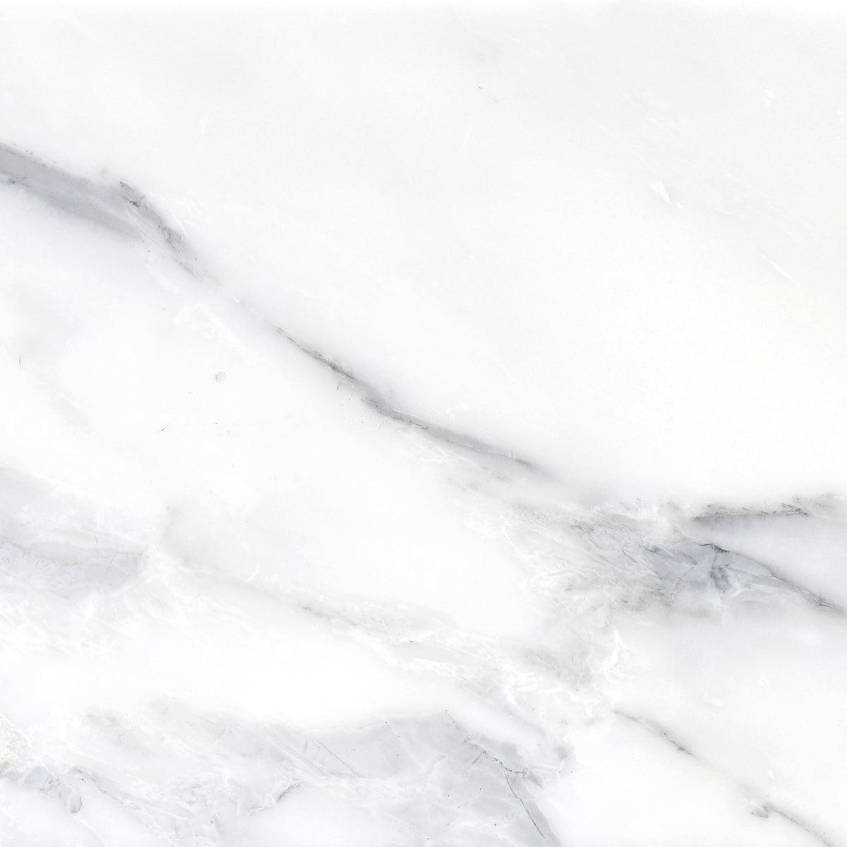 Statuario Honed 12'' x 12''  x 3/8'' Field Tile