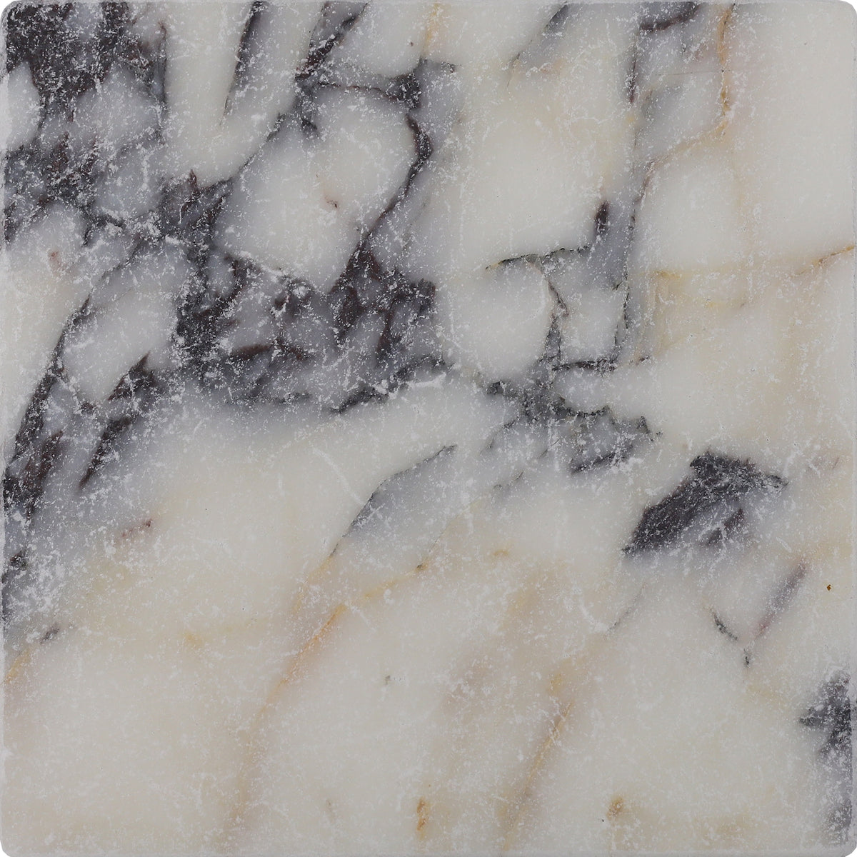 Calacatta Viola Tumbled 12'' x 12''  x 3/8'' Field Tile