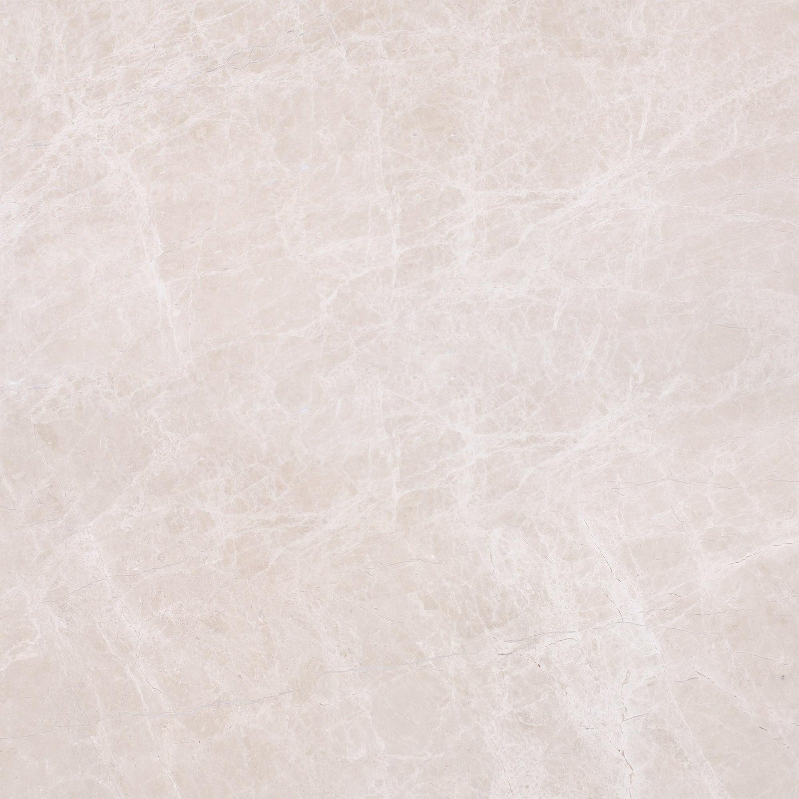 Vanillish Pearl Honed 24'' x 24''  x 5/8'' Field Tile Field Tile 