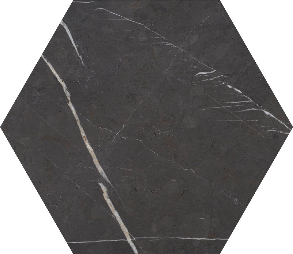 Mount Grey Plain Polished Hexagon 10&#39;&#39; 3/8&#39;&#39; Field Tile