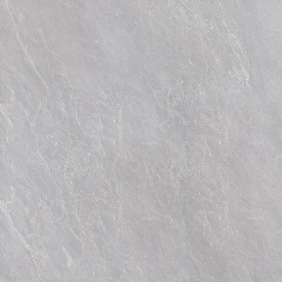 Earth Grey Honed 18'' x 18''  x 1/2'' Field Tile