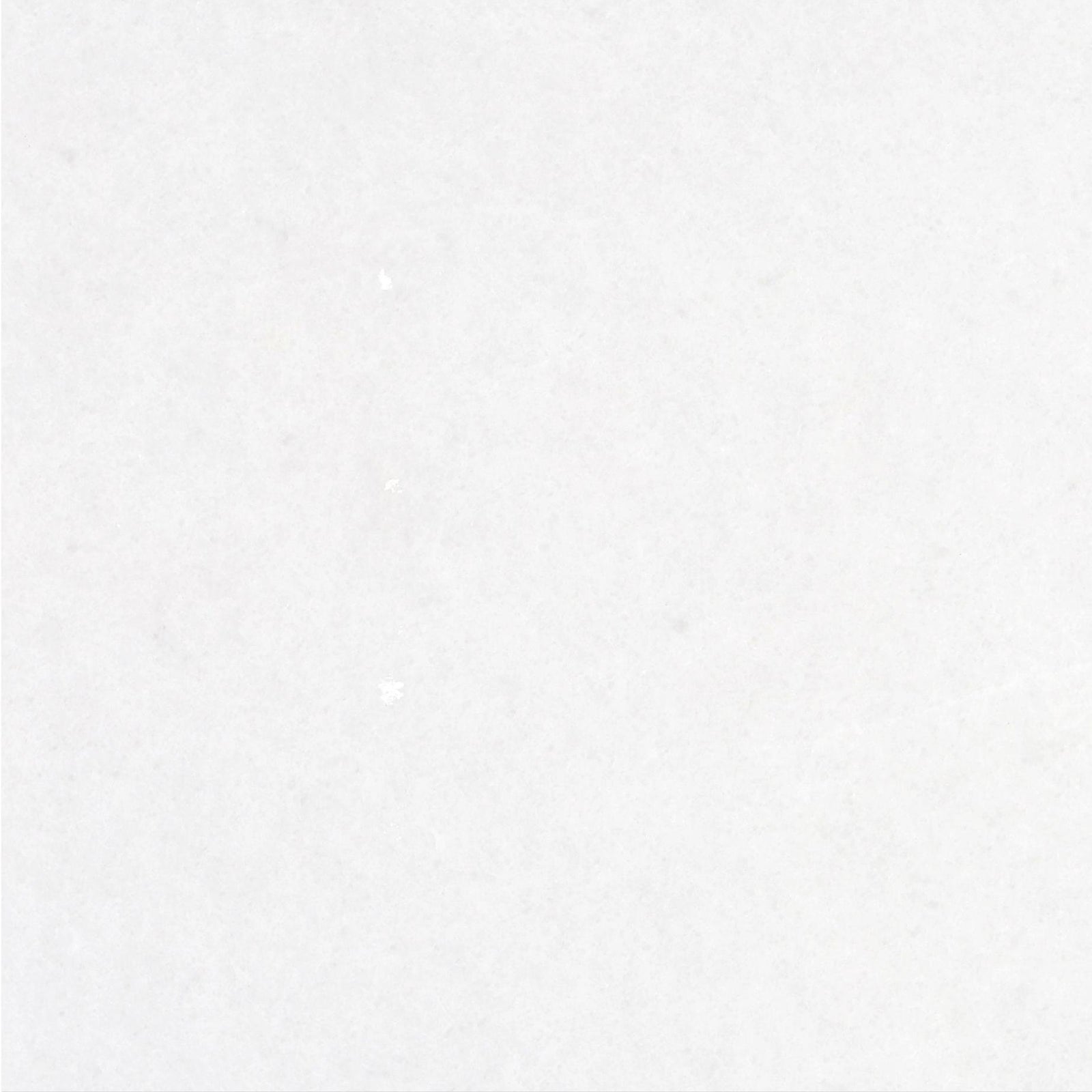 Snow White Honed 18'' x 18''  x 1/2'' Field Tile Field Tile 