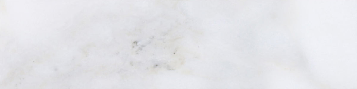 Calacatta Vida Honed 3'' x 12''  x 3/8'' Field Tile Building Materials 