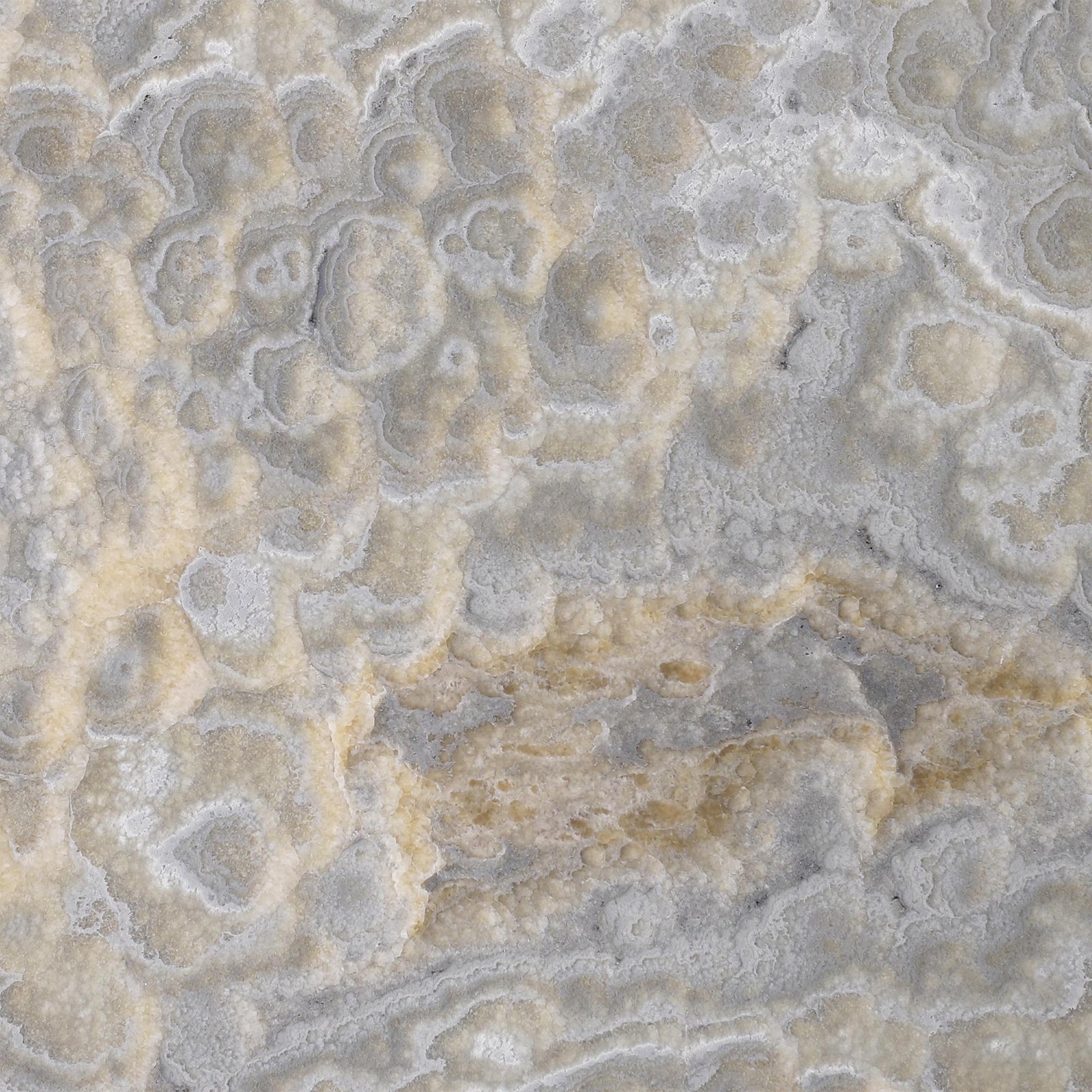 Dover Grey Onyx Polished 12'' x 12''  x 3/8'' Field Tile Field Tile 