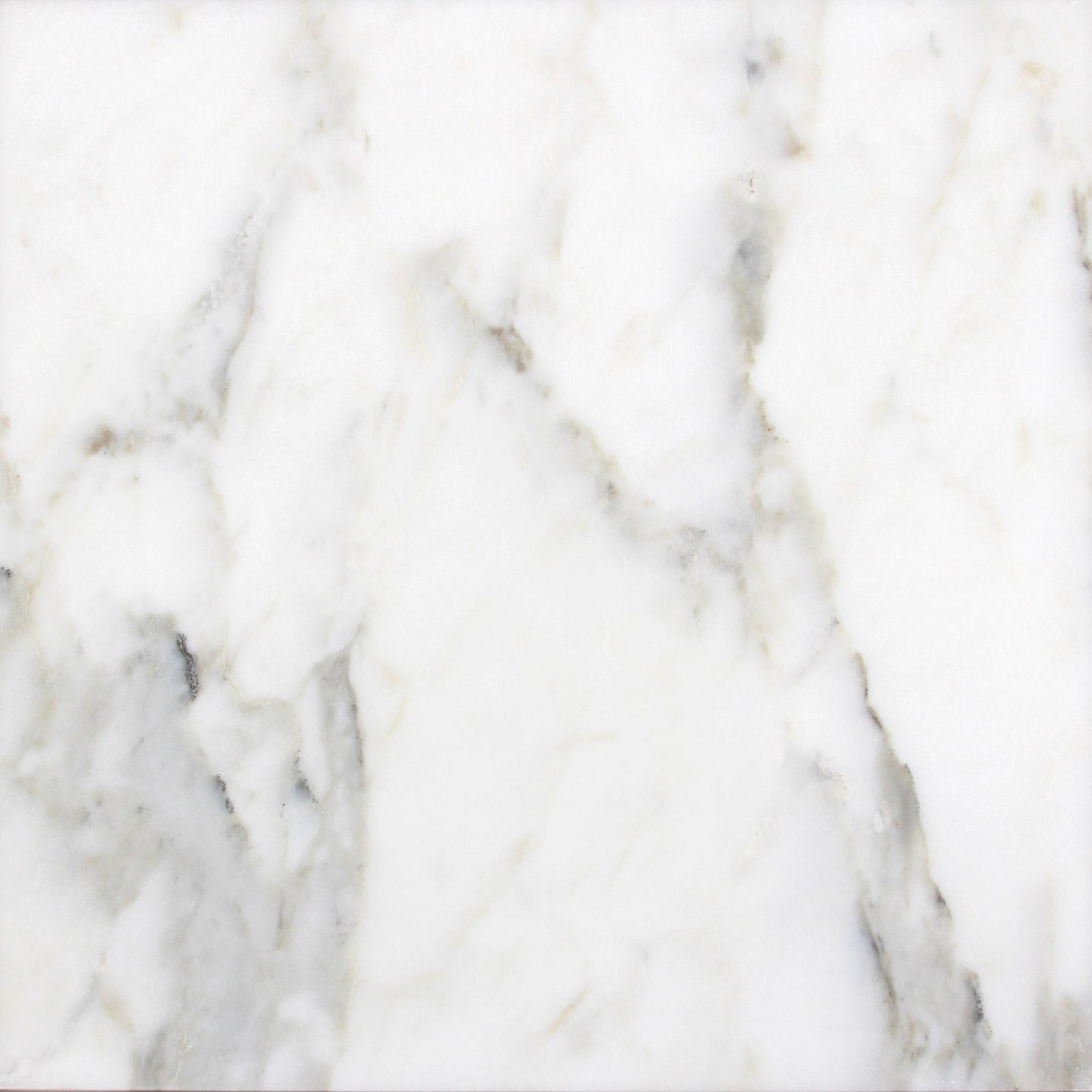 Calacatta Vida Honed 24'' x 24''  x 1/2'' Field Tile Field Tile 