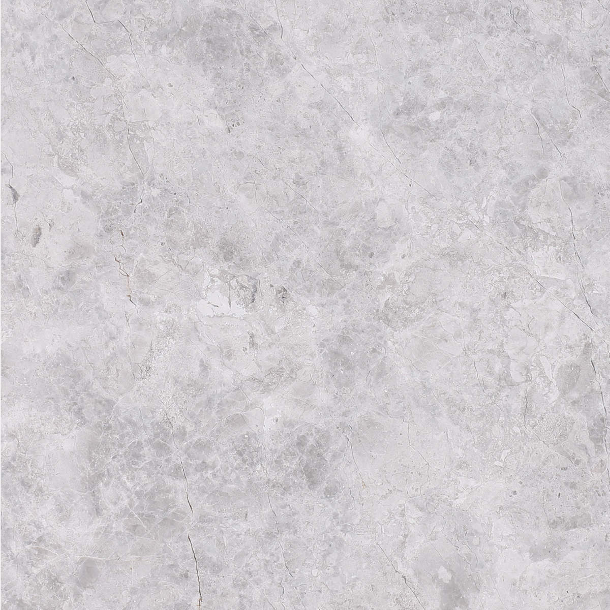 Tundra Grey Honed 16'' x 16''  x 5/8'' Field Tile