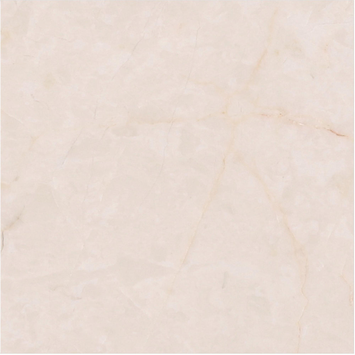 Crema Ella Honed 4&#39;&#39; x 4&#39;&#39;  x 3/8&#39;&#39; Field Tile