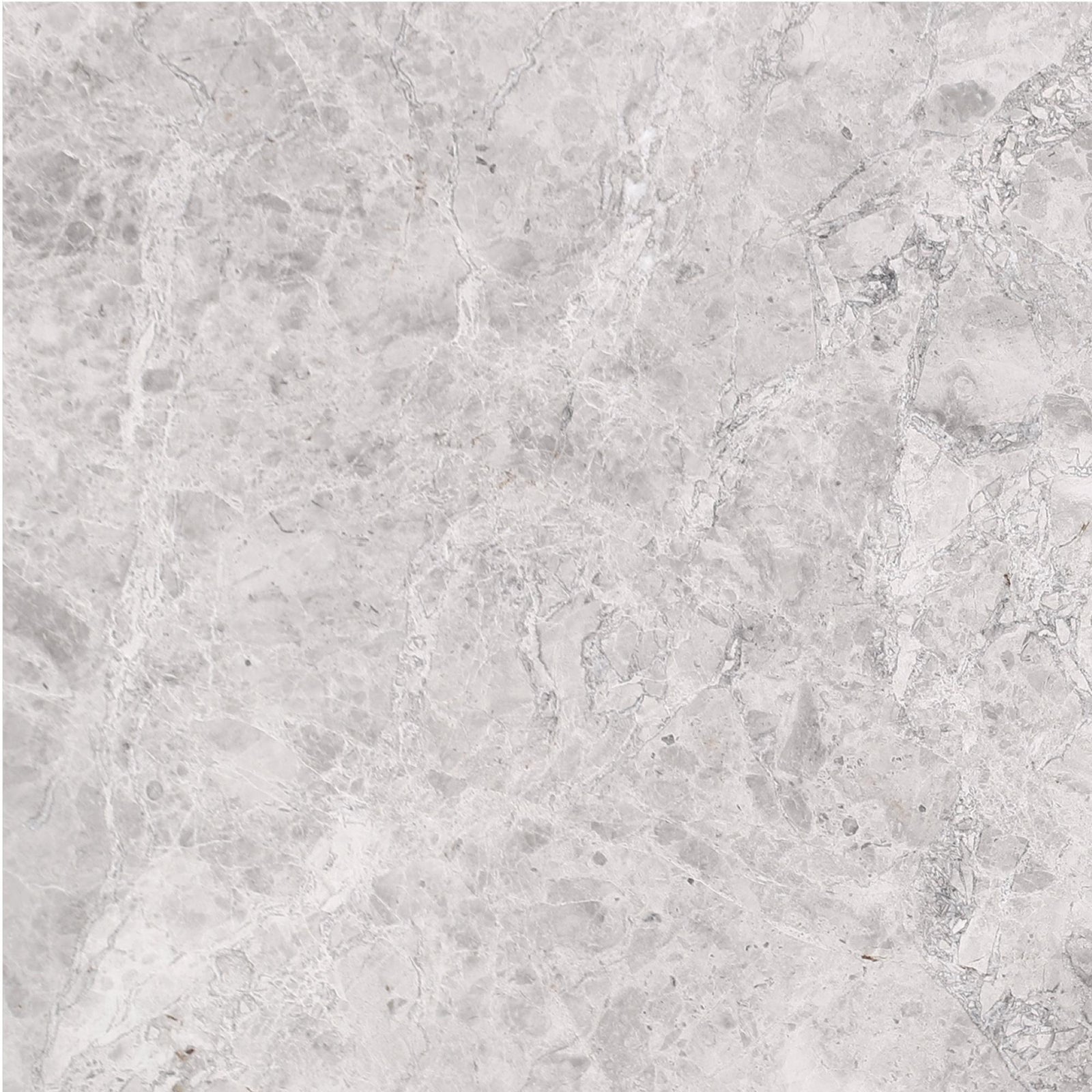 Tundra Grey Honed 16'' x 16''  x 5/8'' Field Tile Field Tile 