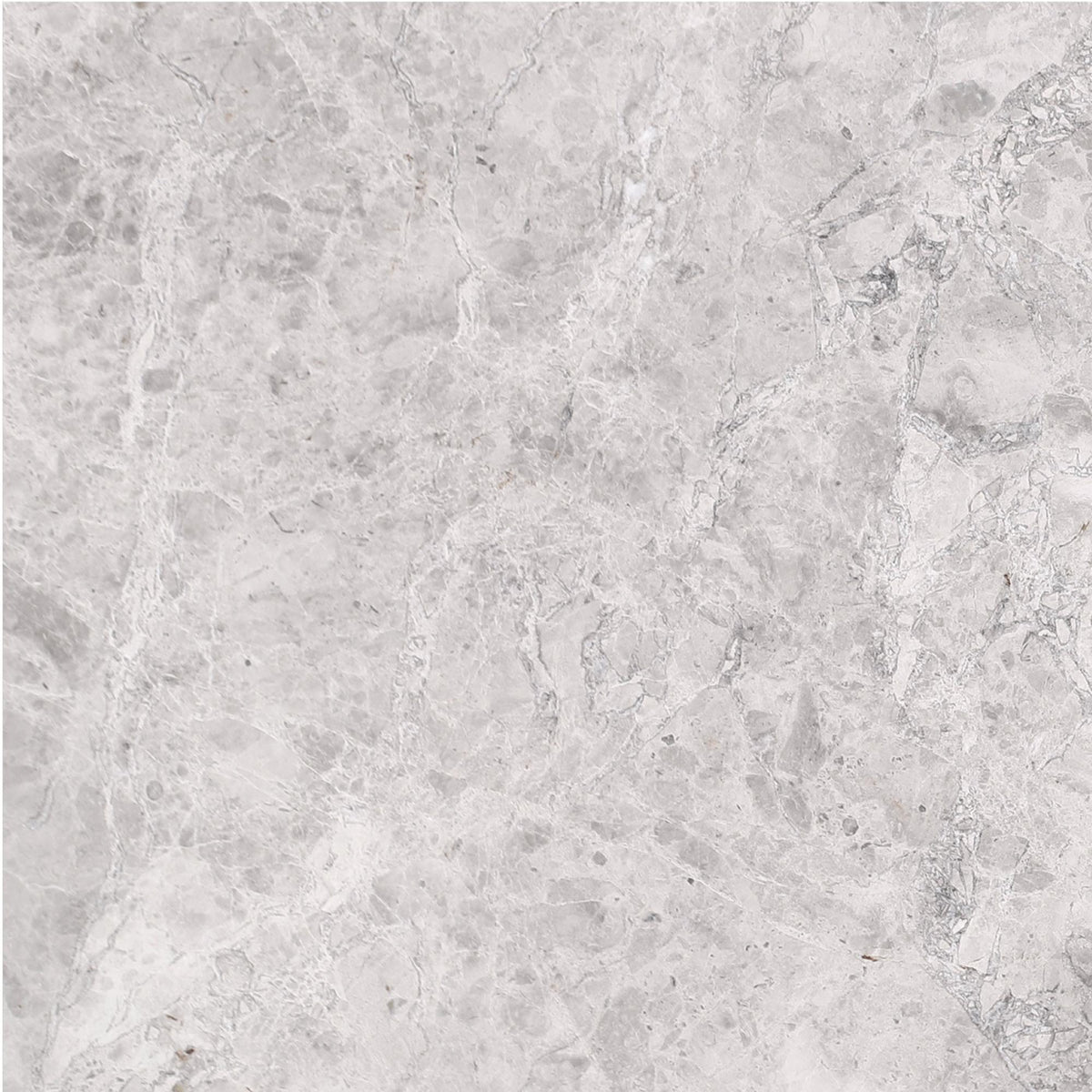 Tundra Grey Honed 16&#39;&#39; x 16&#39;&#39;  x 5/8&#39;&#39; Field Tile