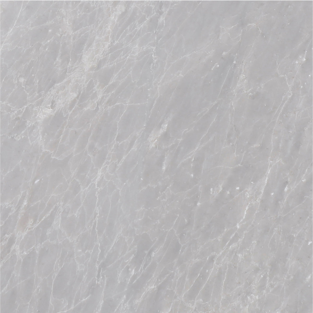 Earth Grey Polished 12'' x 12''  x 3/8'' Field Tile