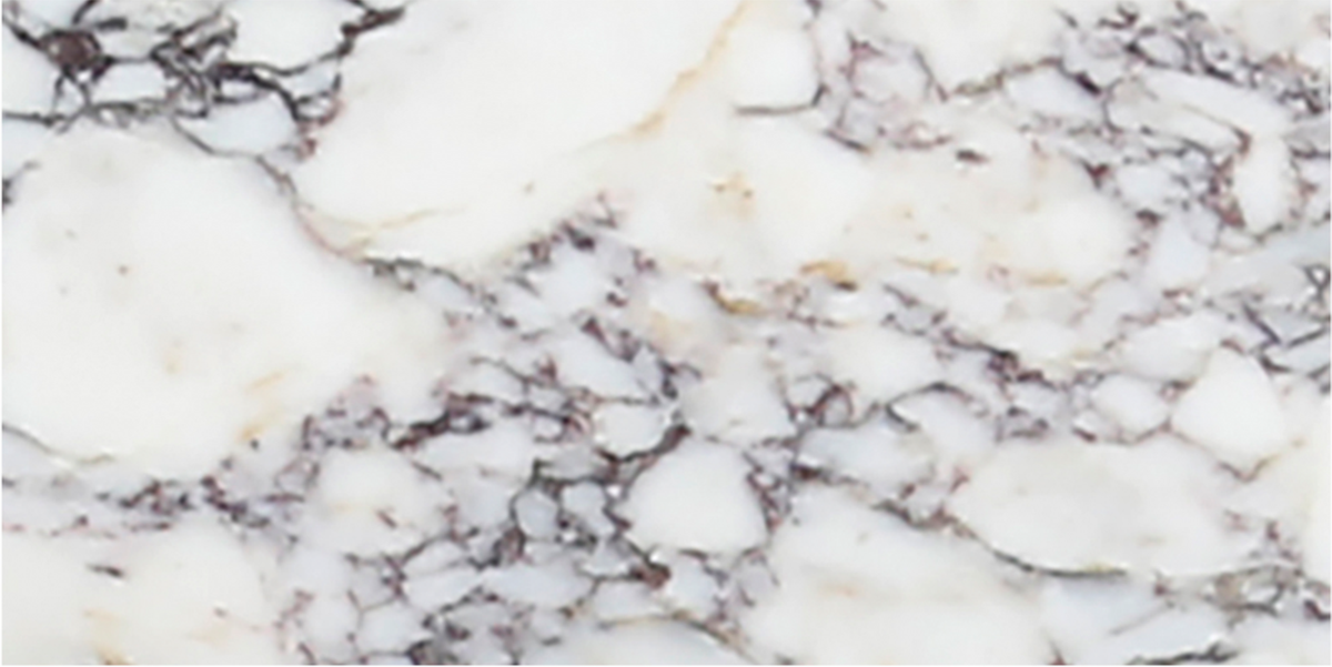 Calacatta Viola Honed 6'' x 12''  x 3/8'' Field Tile