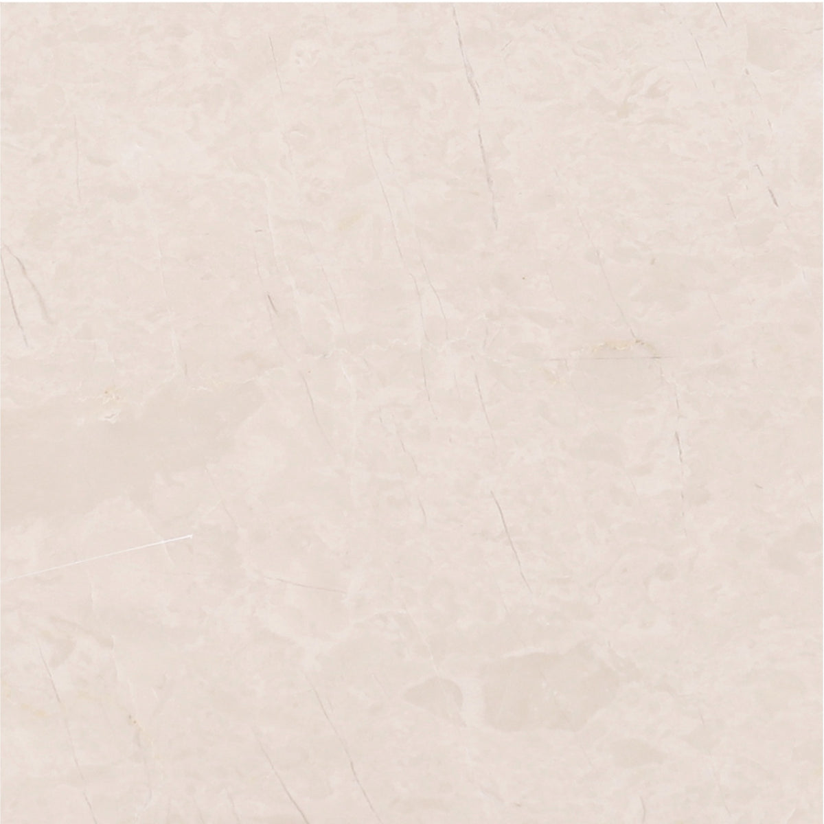 Crema Ella Honed 6'' x 6''  x 3/8'' Field Tile