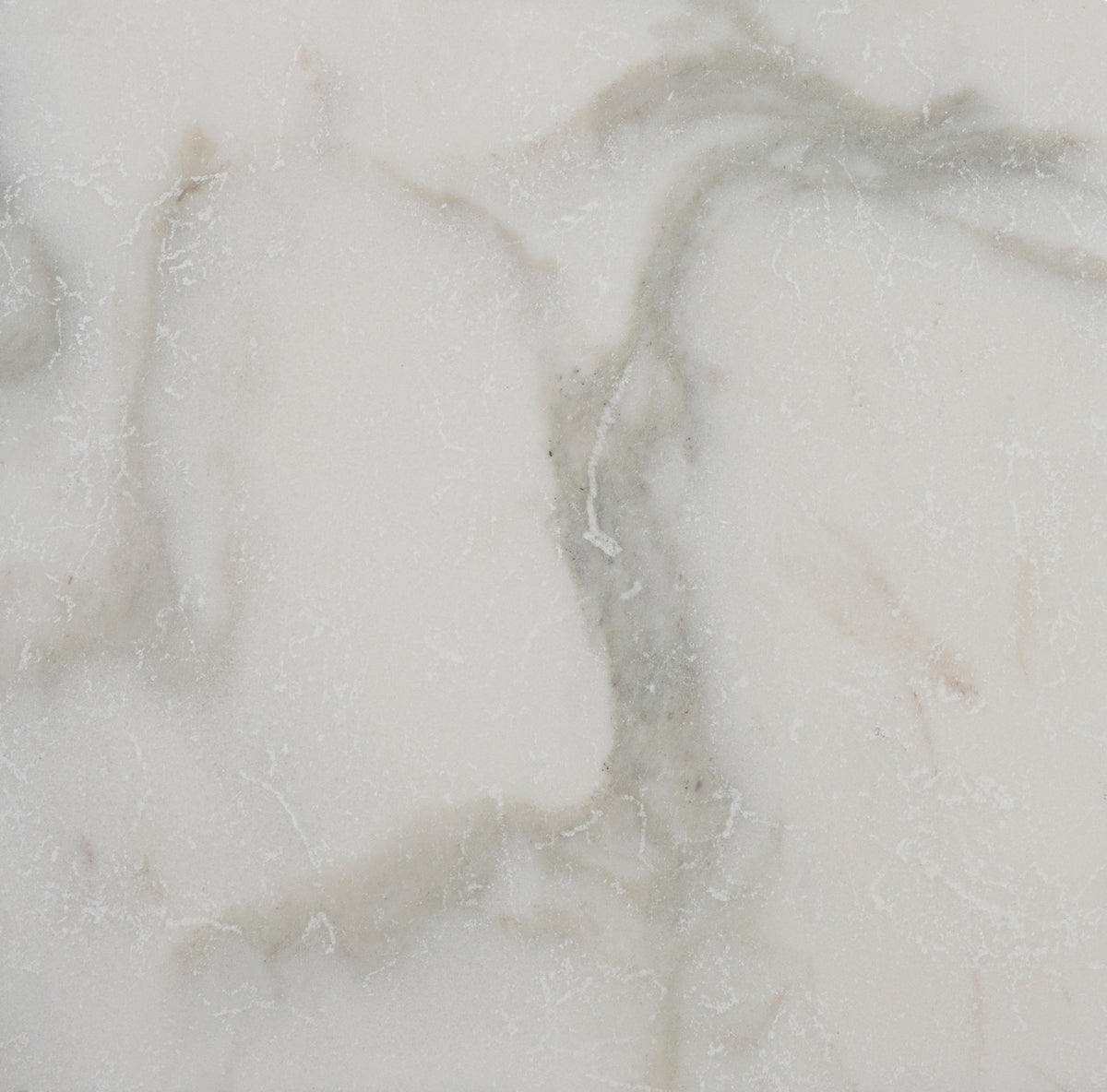 Calacatta Vida Tumbled 12'' x 12''  x 3/8'' Field Tile Building Materials 