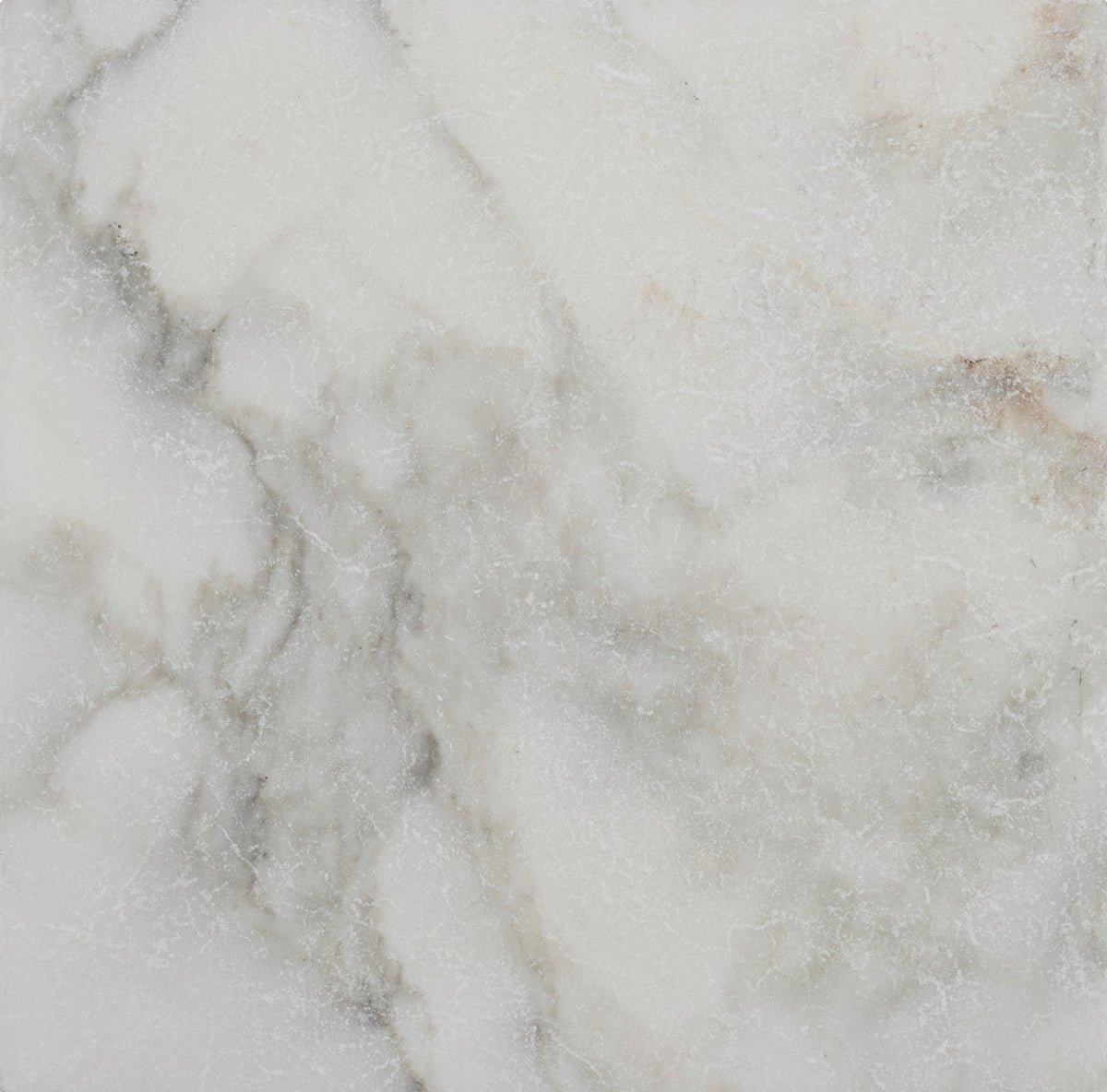 Calacatta Vida Tumbled 12'' x 12''  x 3/8'' Field Tile Building Materials 