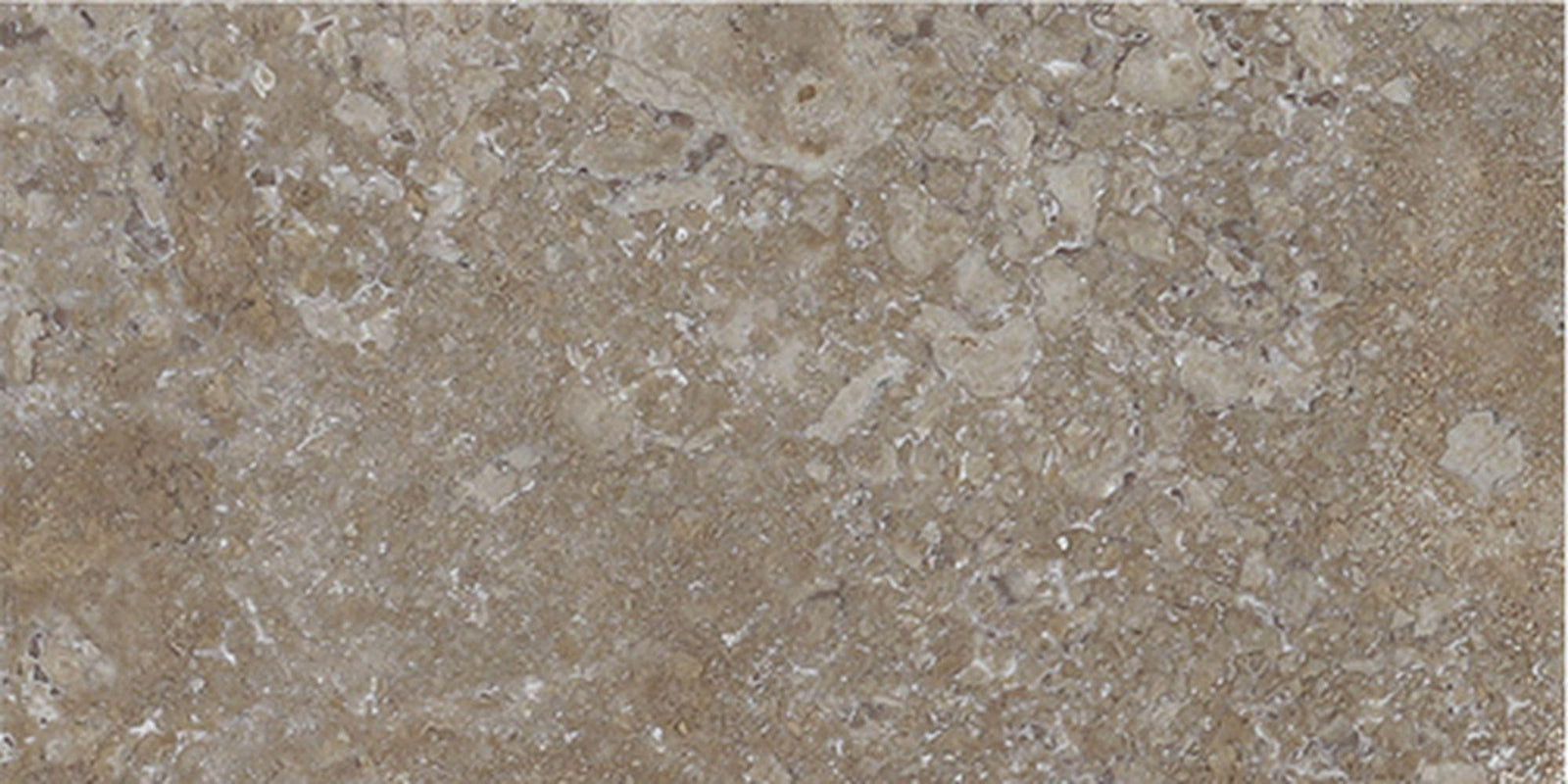 Noce Dark CC Tumbled 3'' x 6''  x 3/8'' Field Tile Field Tile 