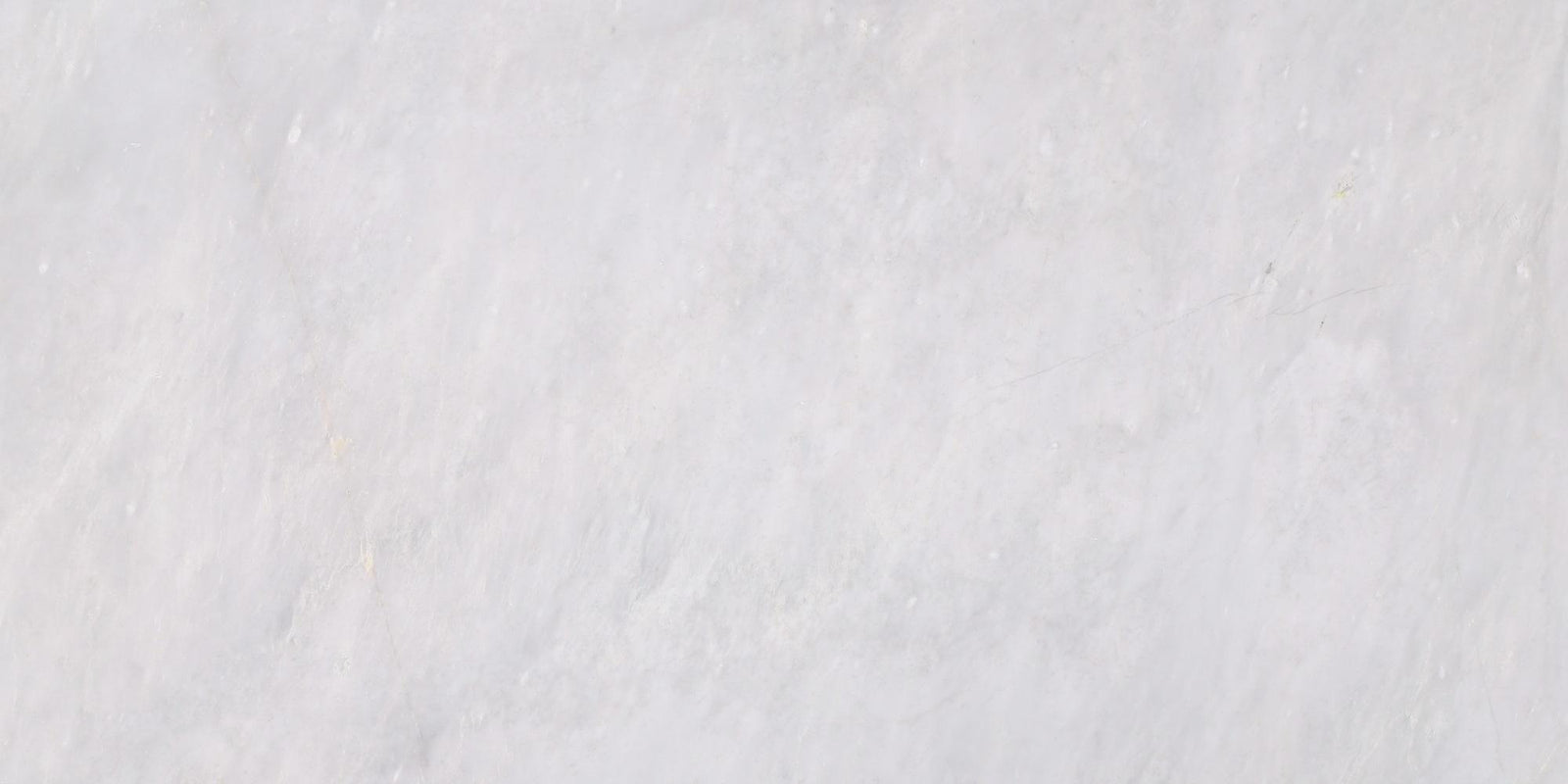 Ice Grey Polished 12'' x 24''  x 1/2'' Field Tile Field Tile 