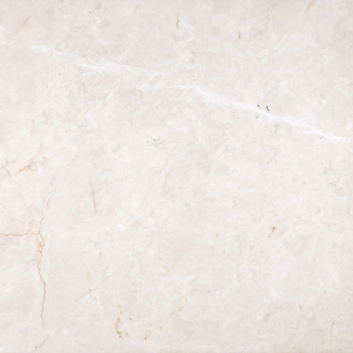 Crema Ella Honed 16&#39;&#39; x 16&#39;&#39;  x 1/2&#39;&#39; Field Tile