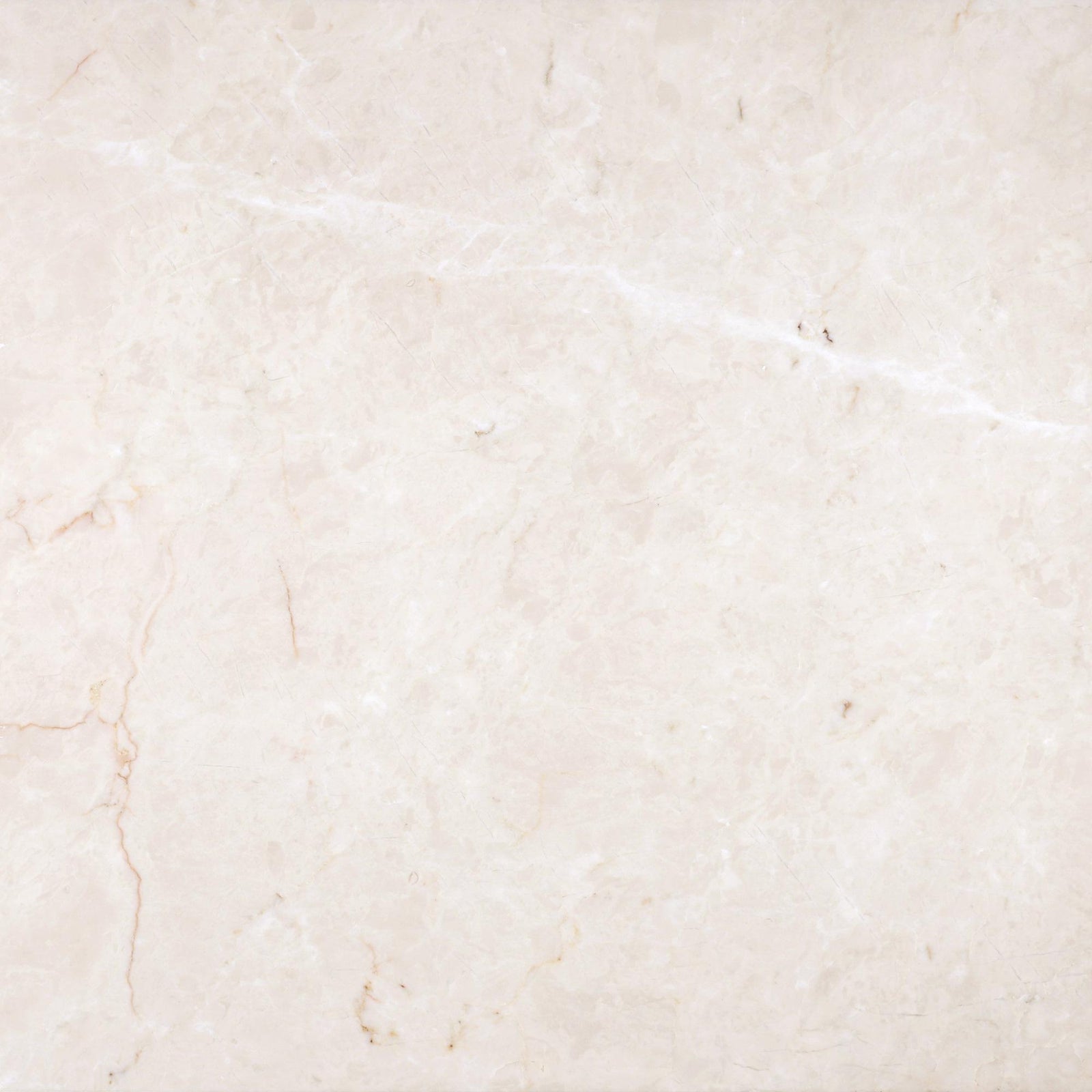 Crema Ella Honed 16'' x 16''  x 1/2'' Field Tile Field Tile 