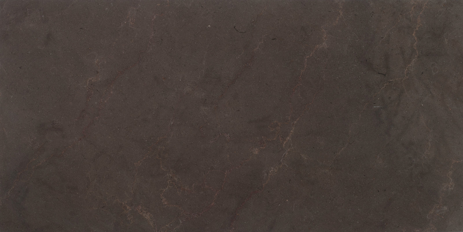 Chocolate Bronze Honed 12'' x 24''  x 1/2'' Field Tile Building Materials 