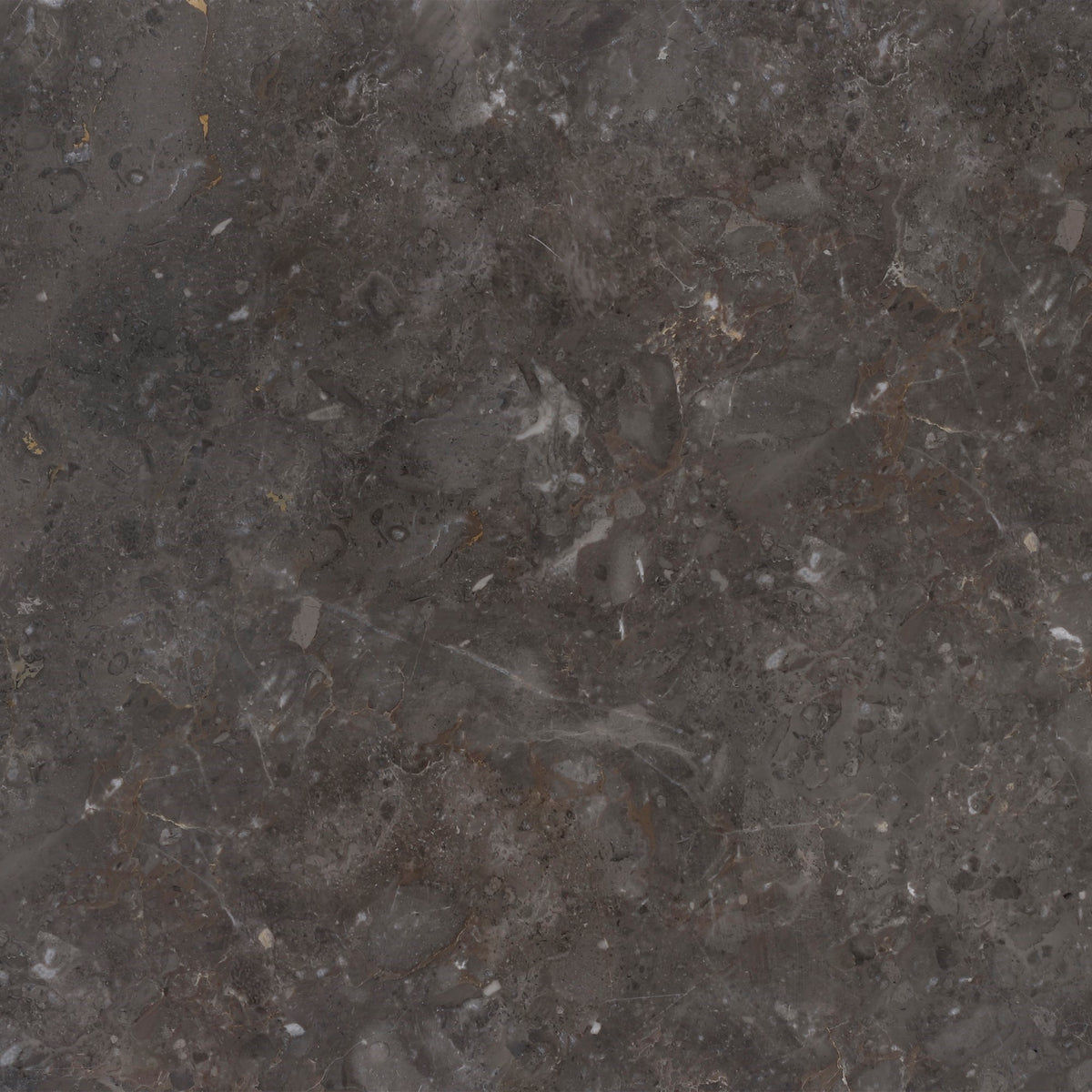 Caribbean Grey Honed 12'' x 12''  x 3/8'' Field Tile