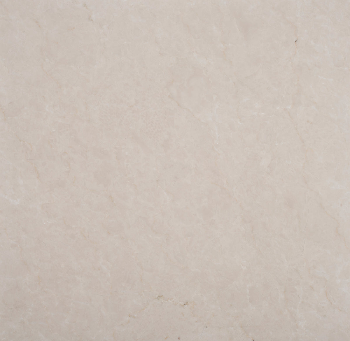 Crema Ella Honed 18'' x 18''  x 1/2'' Field Tile Building Materials 