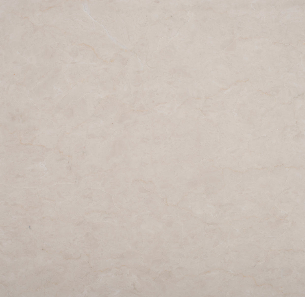 Crema Ella Honed 18'' x 18''  x 1/2'' Field Tile Building Materials 