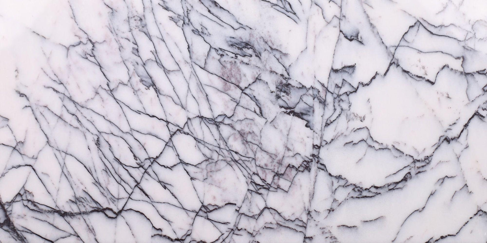 Violeta Polished 12'' x 24''  x 1/2'' Field Tile Field Tile 