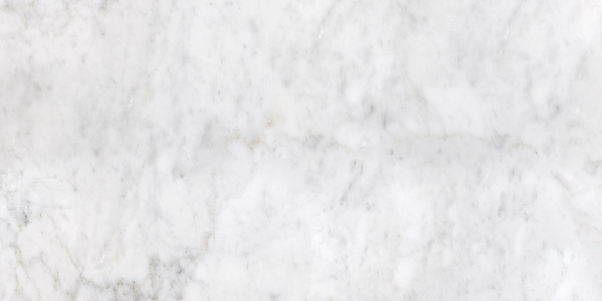 Bianco Carrara Honed 24&#39;&#39; x 48&#39;&#39;  x 3/4&#39;&#39; Field Tile