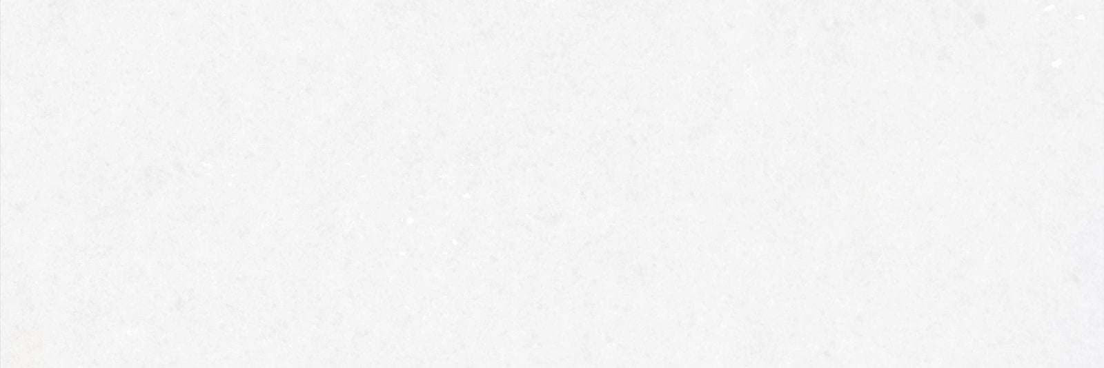 Snow White Honed 4'' x 12''  x 1/2'' Field Tile Field Tile 