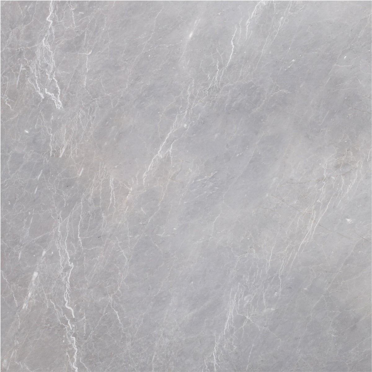 Earth Grey Honed 18&#39;&#39; x 18&#39;&#39;  x 1/2&#39;&#39; Field Tile