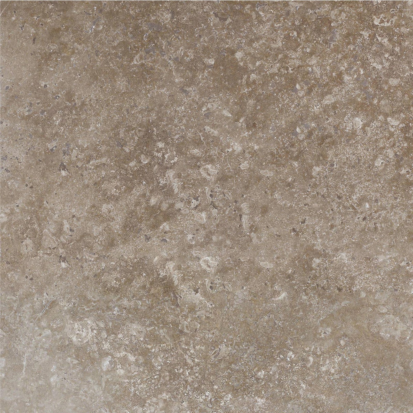 Noce Dark CC Honed 18'' x 18''  x 1/2'' Field Tile Field Tile 