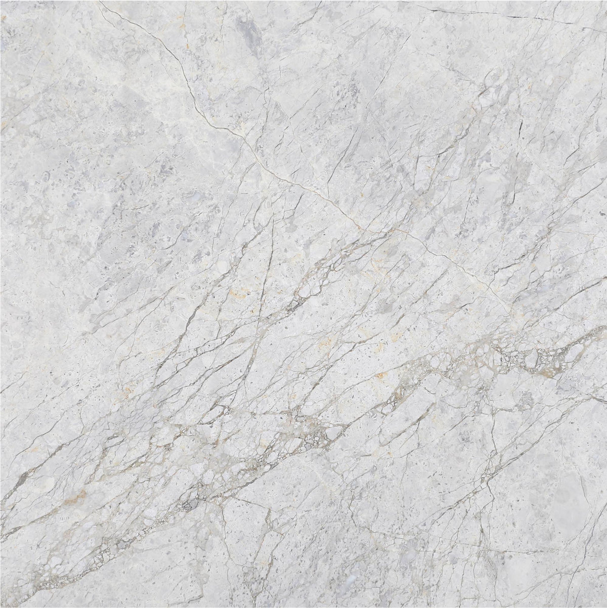 Tundra Grey DA Polished 18&#39;&#39; x 18&#39;&#39;  x 5/8&#39;&#39; Field Tile