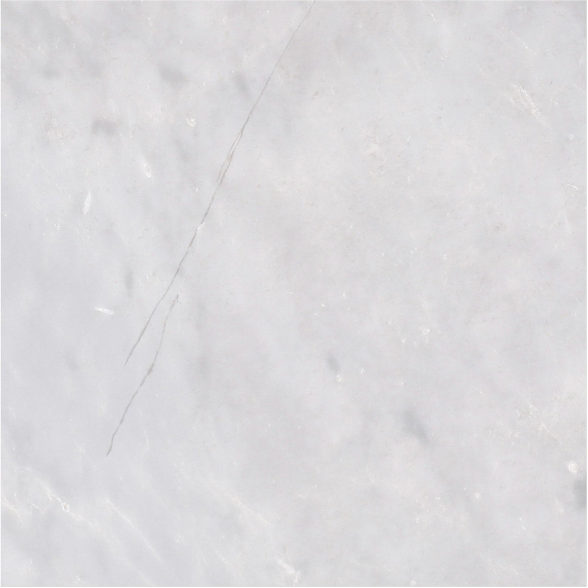 Ice Grey Honed 12&#39;&#39; x 12&#39;&#39;  x 1/2&#39;&#39; Field Tile