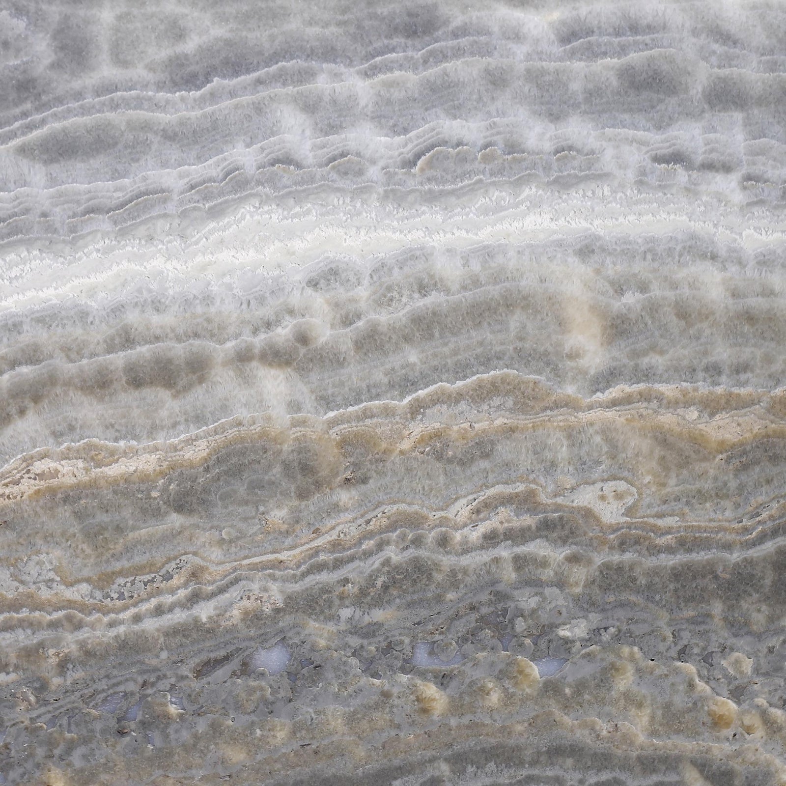 Dover Grey Onyx Honed 12'' x 12''  x 3/8'' Field Tile Field Tile 