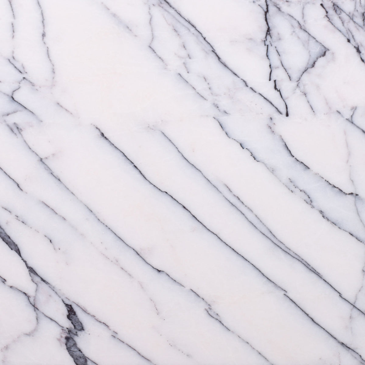 Violeta Polished 12'' x 12''  x 3/8'' Field Tile