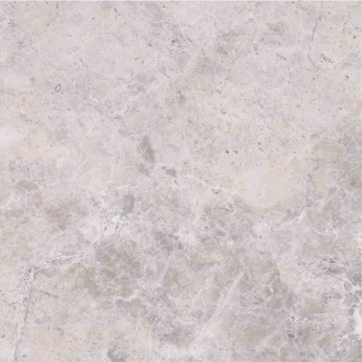 Tundra Grey Honed 18'' x 18''  x 1/2'' Field Tile