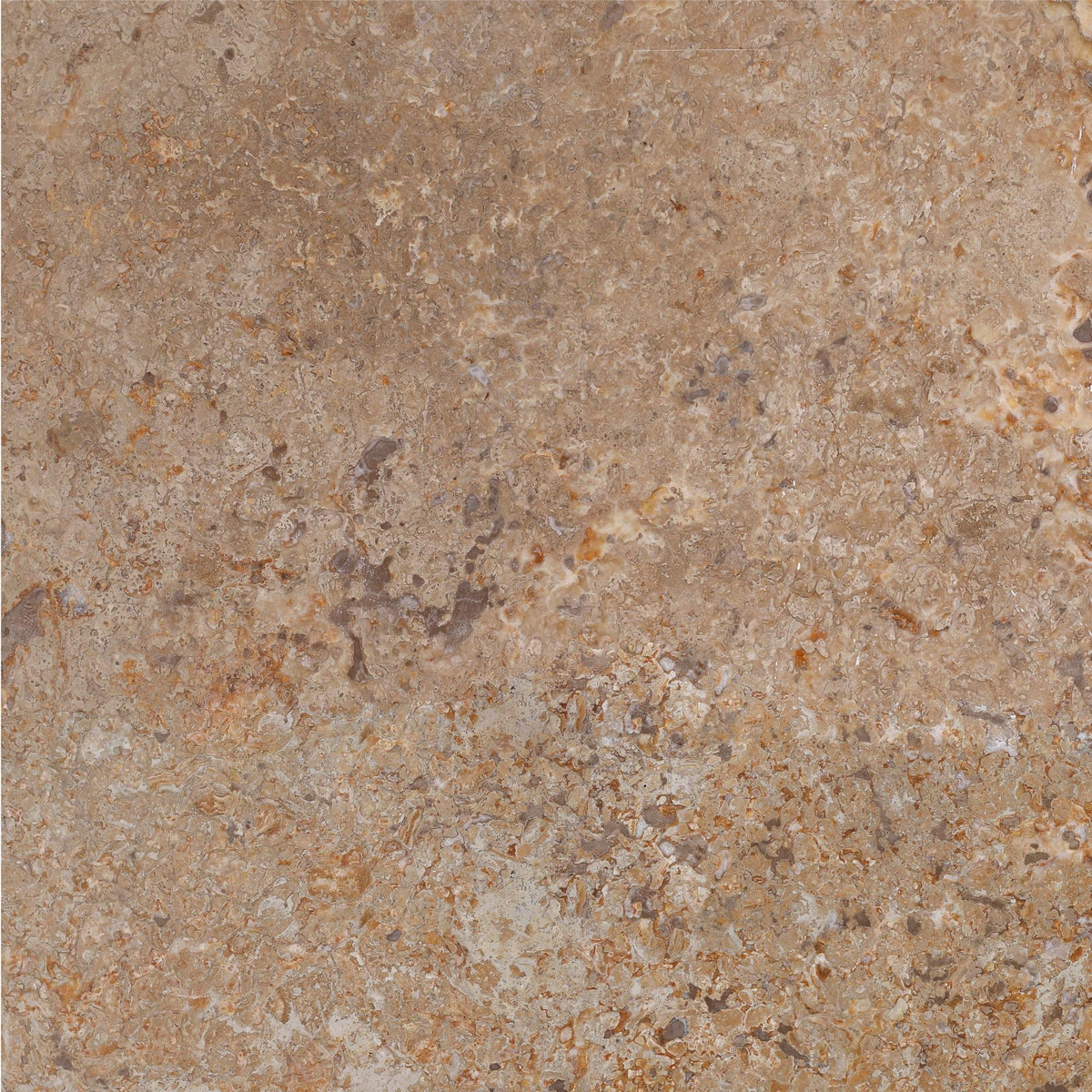 Kona Brown CC Honed 18&#39;&#39; x 18&#39;&#39;  x 1/2&#39;&#39; Field Tile