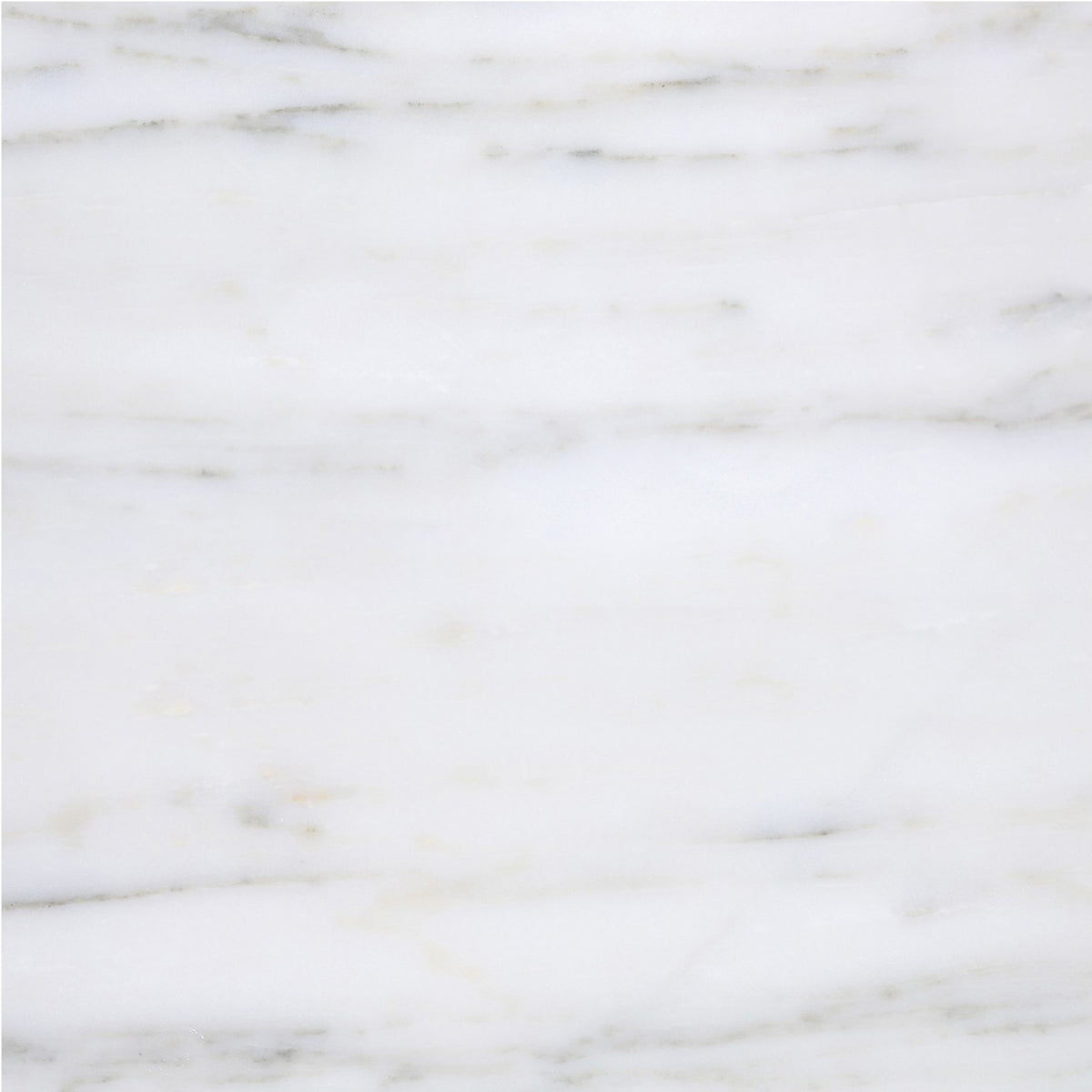 Calacatta Vida Honed 18'' x 18''  x 1/2'' Field Tile