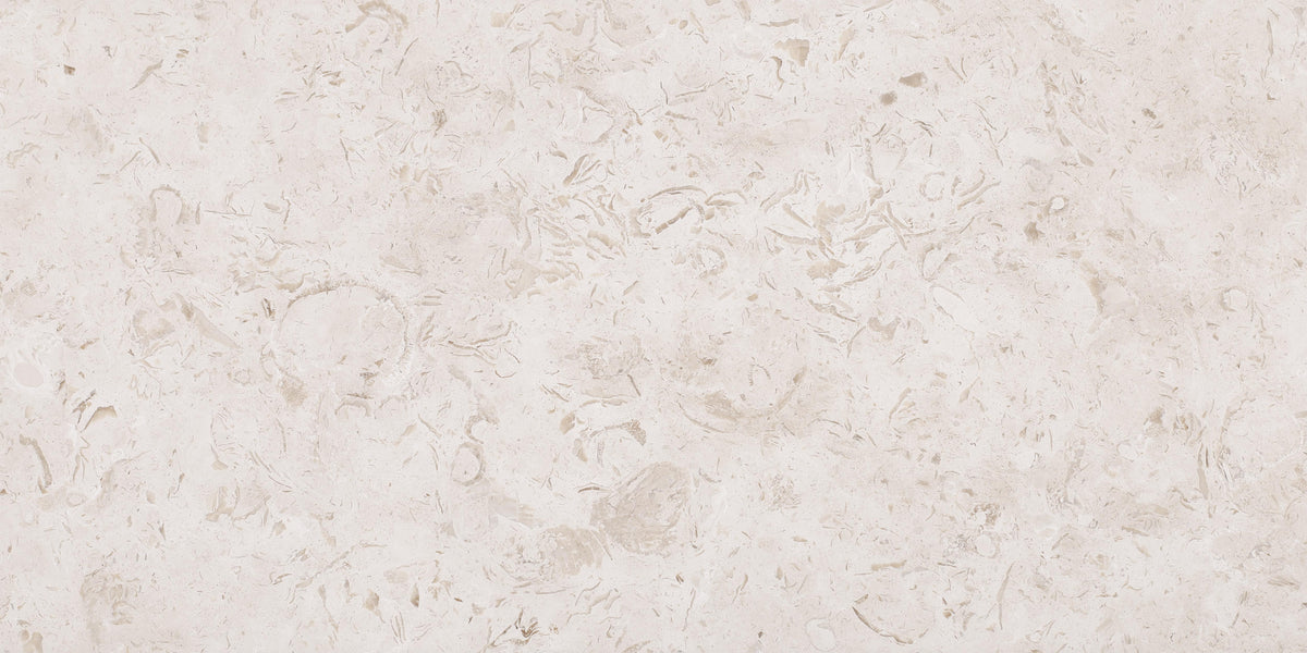 Cream Bouquet Honed 12&#39;&#39; x 24&#39;&#39;  x 1/2&#39;&#39; Field Tile