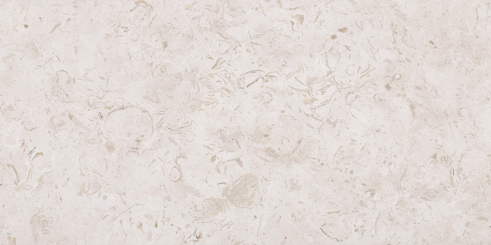 Cream Bouquet Honed 12'' x 24''  x 1/2'' Field Tile Field Tile 