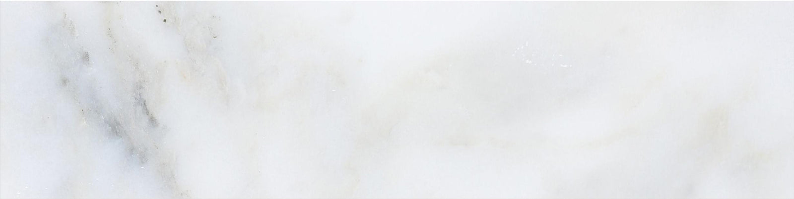 Calacatta Vida Honed 3'' x 12''  x 3/8'' Field Tile Field Tile 