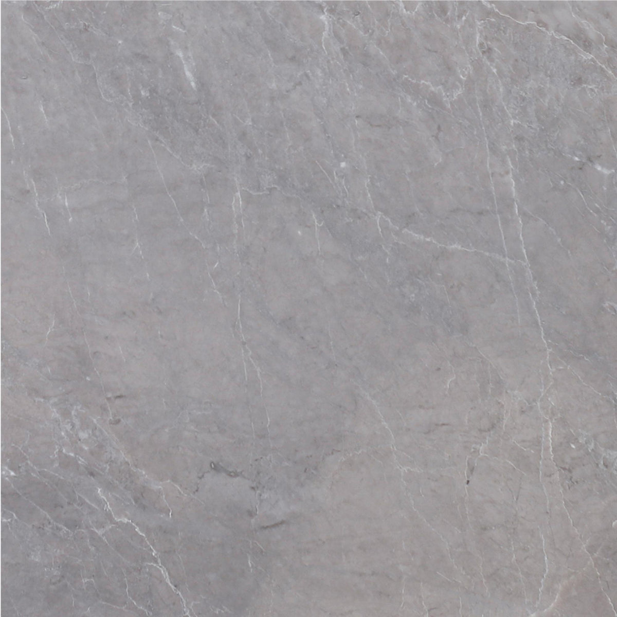 Earth Grey Polished 12&#39;&#39; x 12&#39;&#39;  x 1/2&#39;&#39; Field Tile