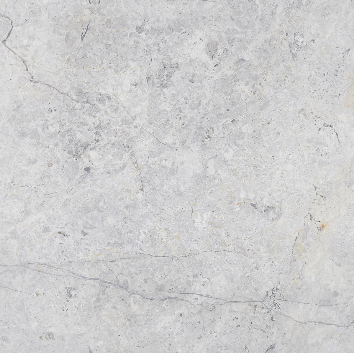 Tundra Grey DA Honed 18&#39;&#39; x 18&#39;&#39;  x 5/8&#39;&#39; Field Tile