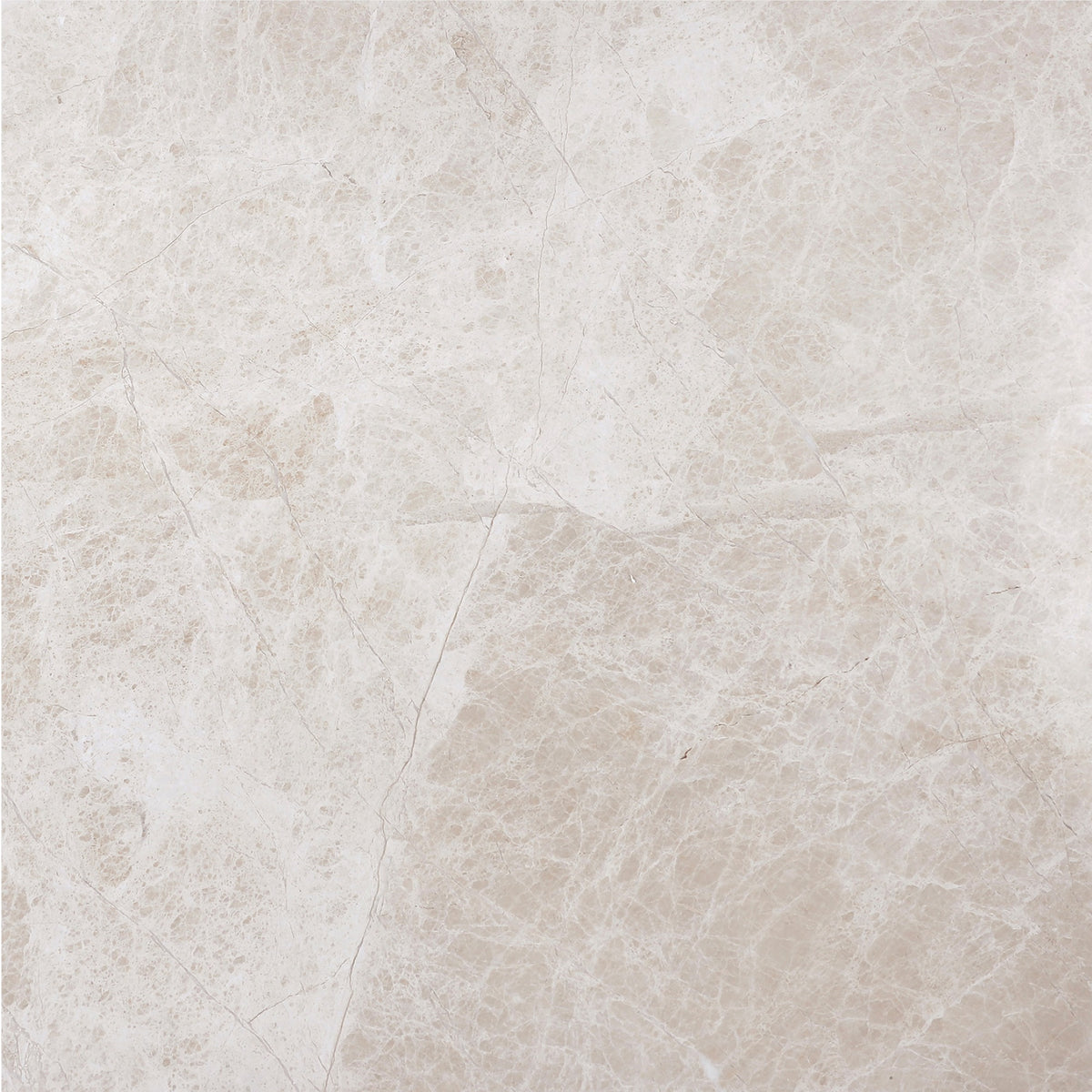 Vanillish Pearl Honed 18'' x 18''  x 1/2'' Field Tile