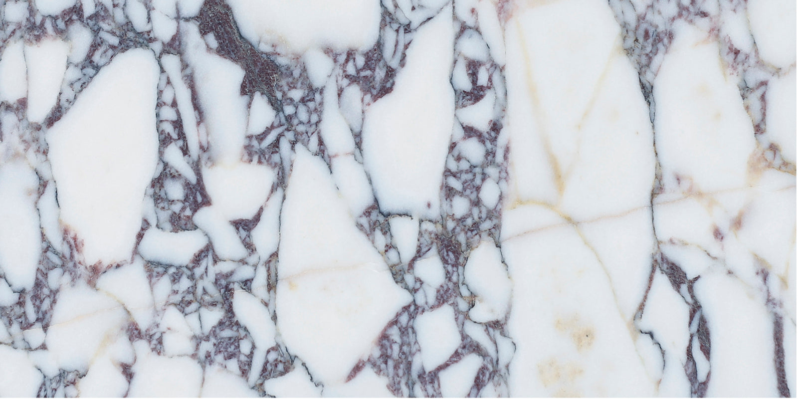 Calacatta Viola Polished 6'' x 12''  x 3/8'' Field Tile Field Tile 