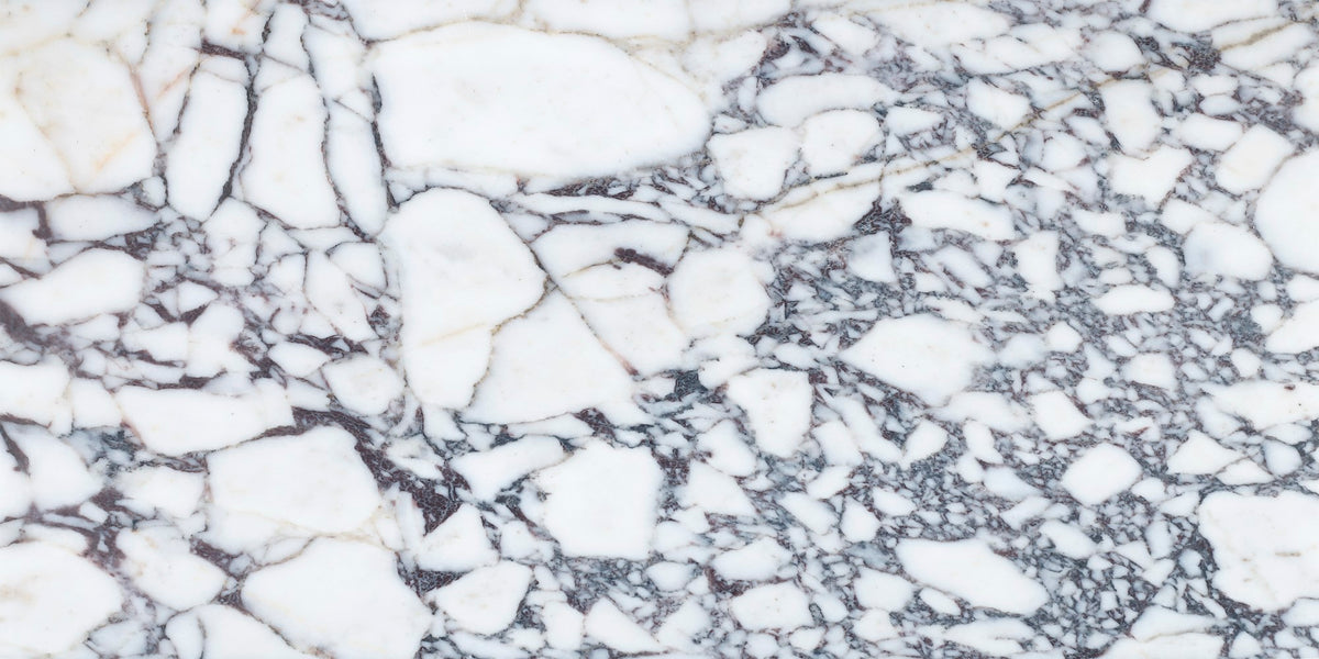 Calacatta Viola Polished 12'' x 24''  x 3/8'' Field Tile
