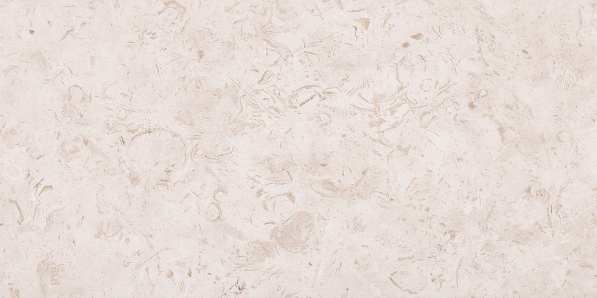Cream Bouquet Honed 12'' x 24''  x 1/2'' Field Tile