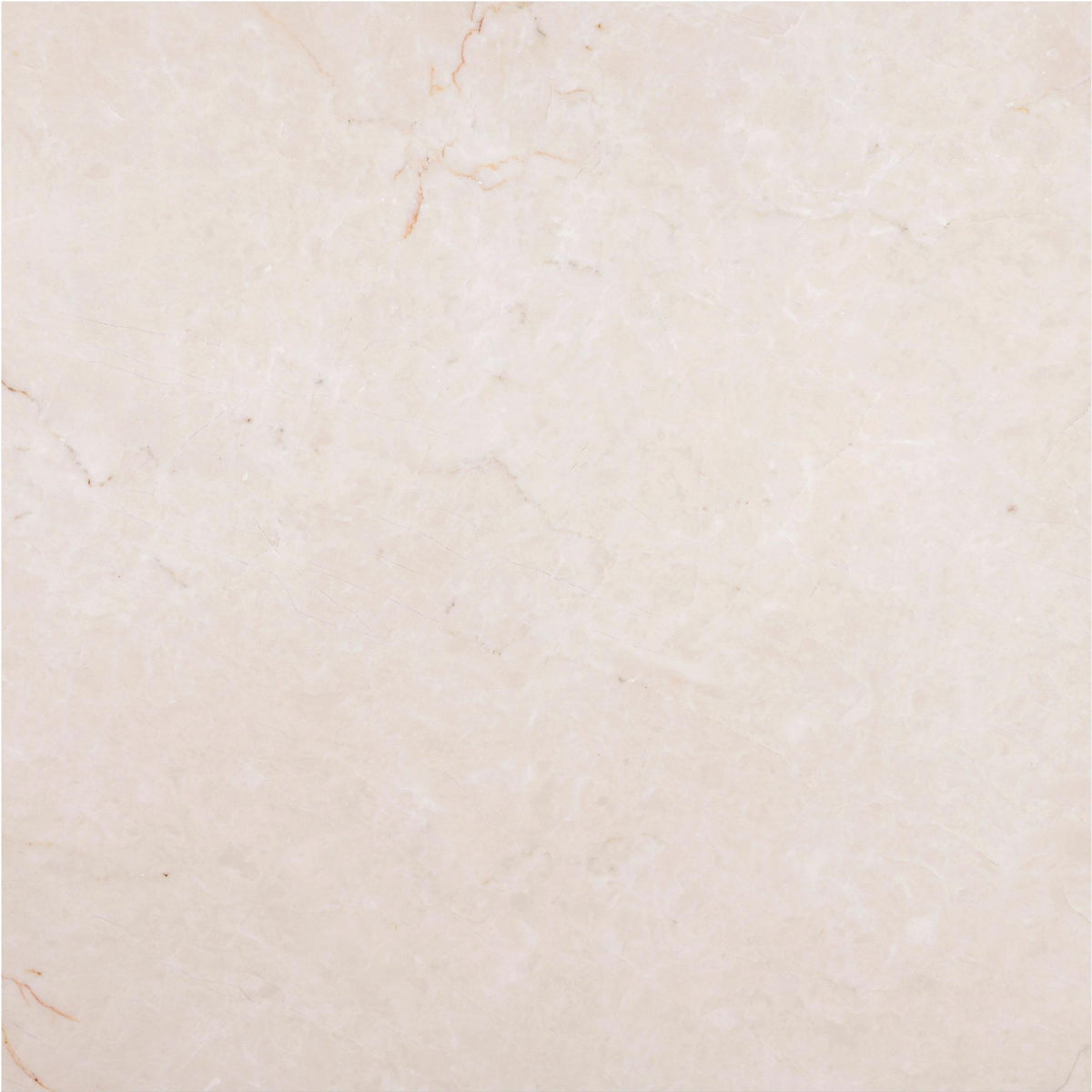 Crema Ella Honed 18&#39;&#39; x 18&#39;&#39;  x 5/8&#39;&#39; Field Tile Field Tile 