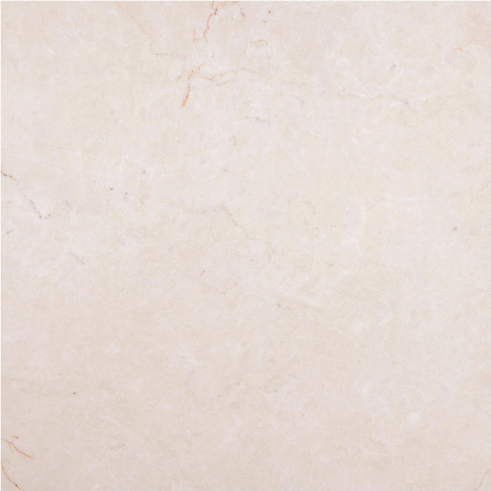 Crema Ella Honed 18'' x 18''  x 5/8'' Field Tile Field Tile 